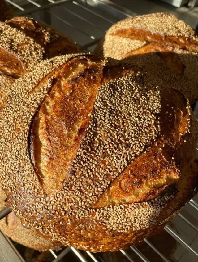 Hart Bageri Sesame City Loaf surdejsbrød med sesam